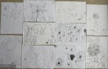 Défi ARBRE- Fleur