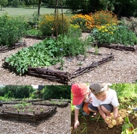 Créer un jardin pédagogique